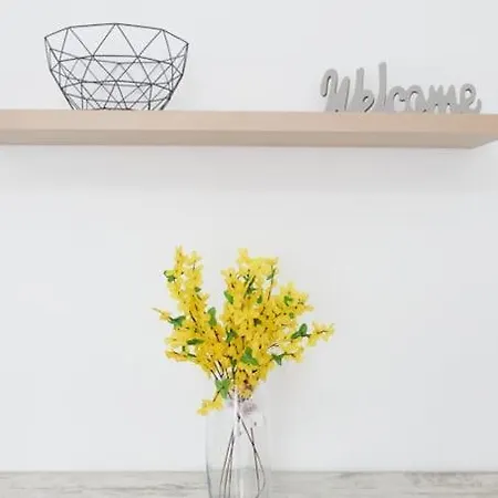 Zoe Apartman, Koezponthoz Koezel *